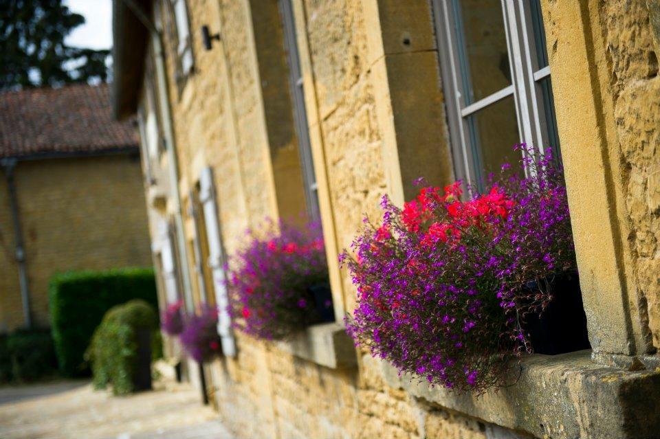 Hotel La Grappe D'Or Torgny Exterior photo